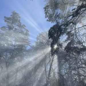 骚麦小苮儿班主任妈妈歌曲
